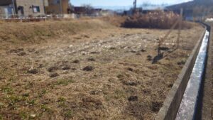 売地 甲斐市 竜王新町 53坪